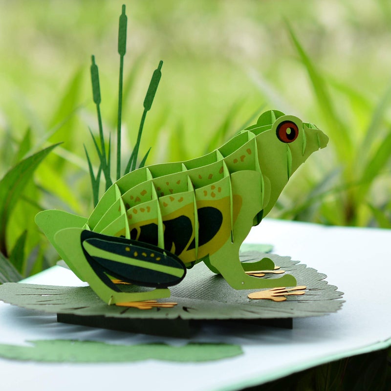 CUT POPUP.COM CUTPOPUP Birthday Card Pop Up, 3D Greeting Card (Frog) - Image 1